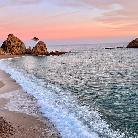 In * Tossa de Mar